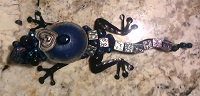 Gecko Small 01